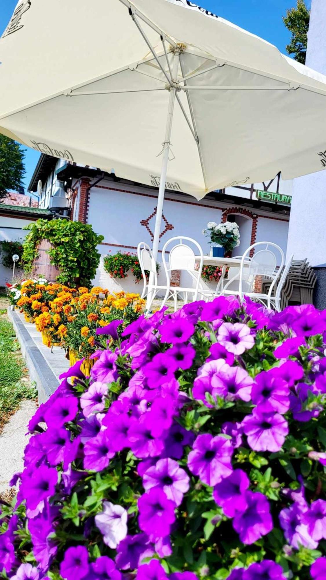 Villa Blue Mare Устроне-Морске Экстерьер фото